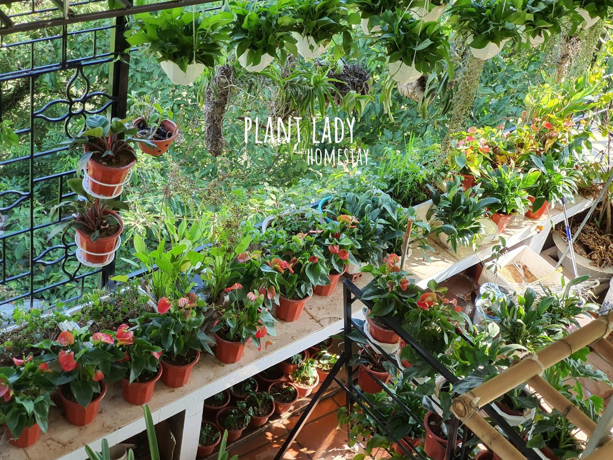 Plant Lady Homestay Cao Bang Ngoại thất bức ảnh